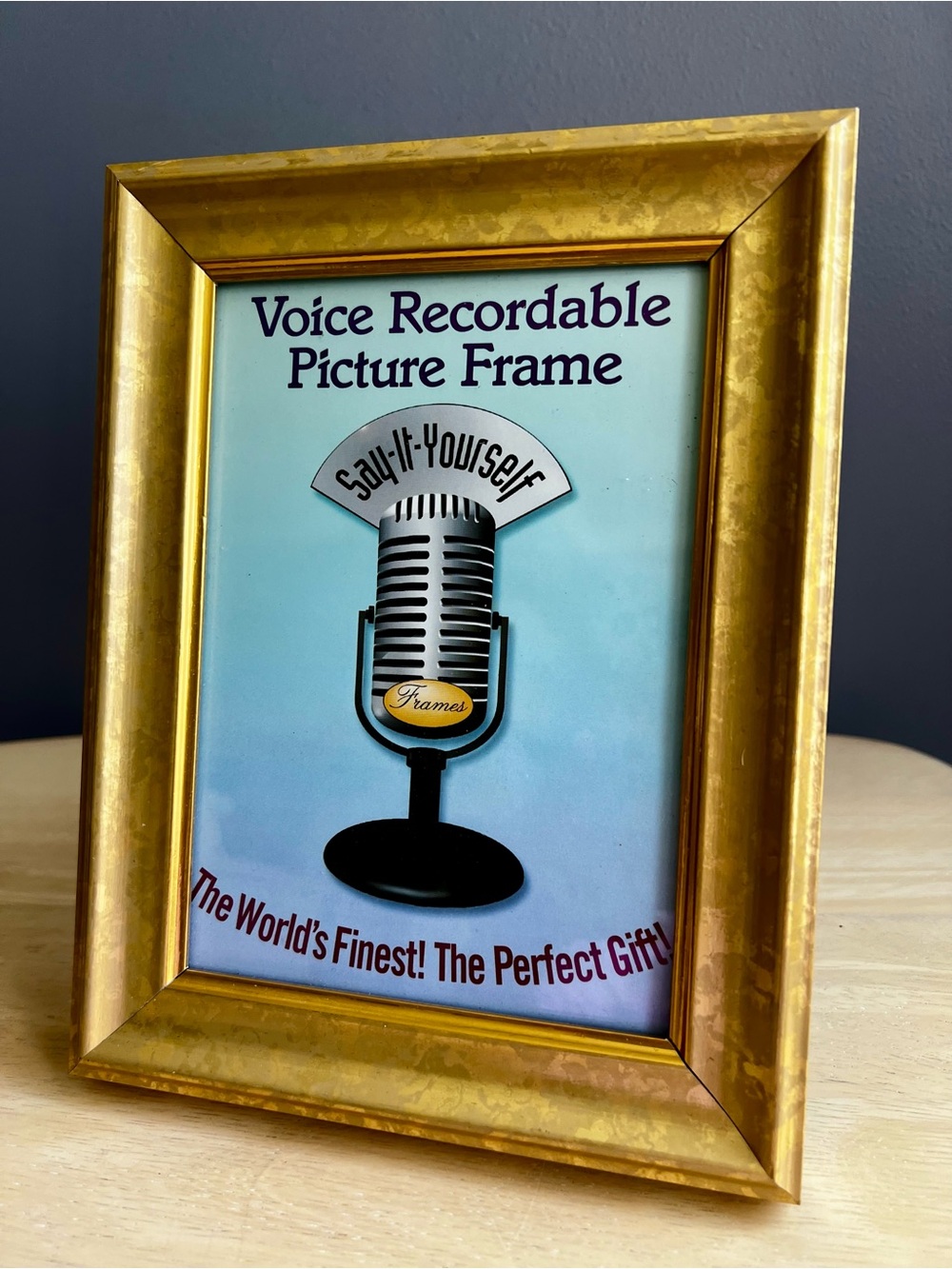 Voice Recordable 5X7 Picture Frame is NWT